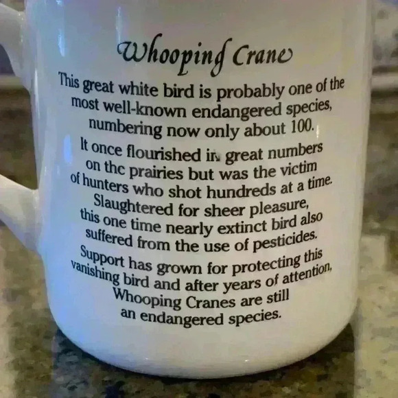 Cape Shore Four Collector Coffee Mugs - Picture 4 of 6